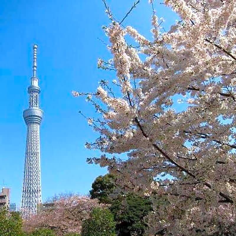 First Cabin Shinbashi Atagoyama Tokyo Exterior photo